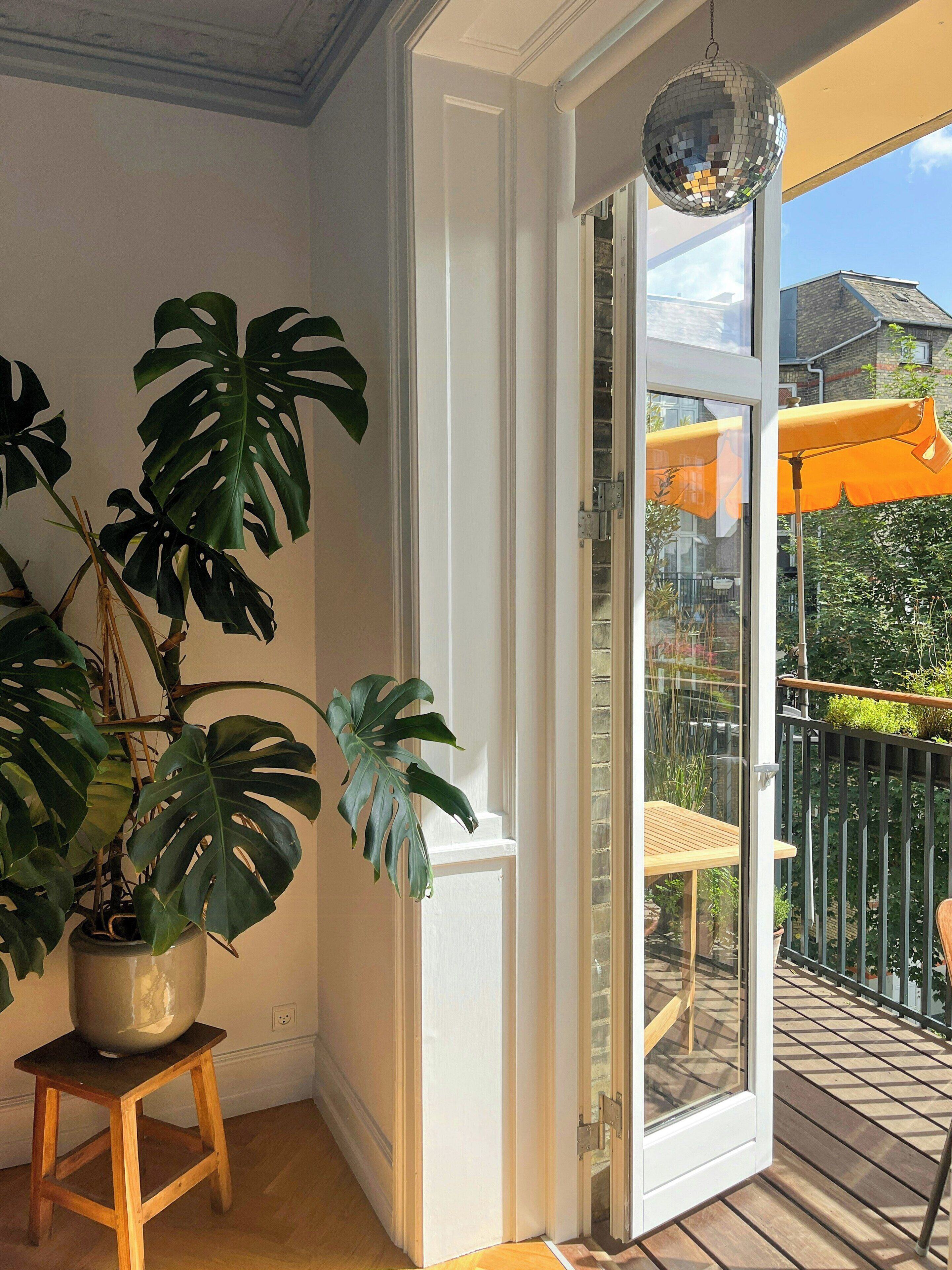 Terraza o patio