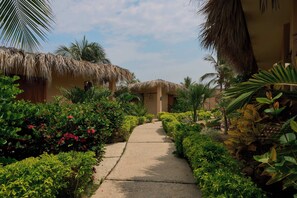 Un sendero bordeado por abundante vegetación y construcciones de techo de paja, evocando un ambiente de resort tropical.