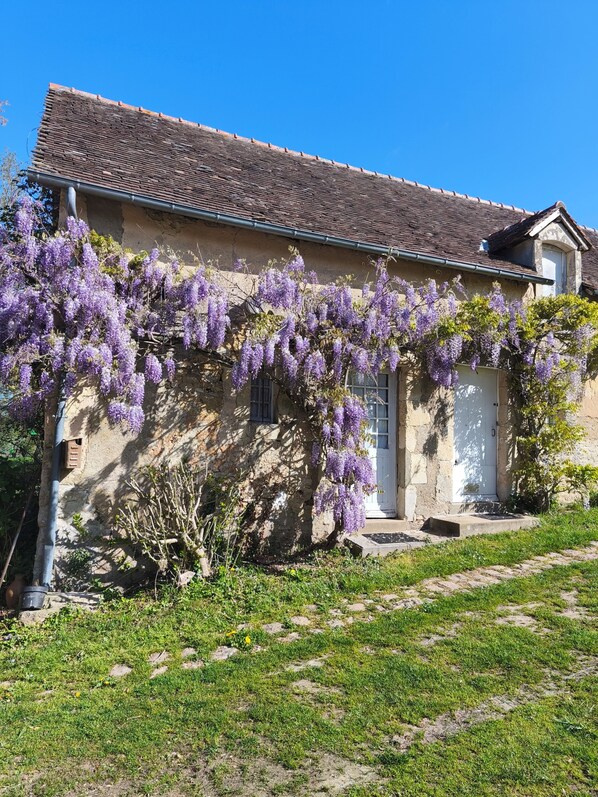 Exterior - Vrbo Property (Maigné)