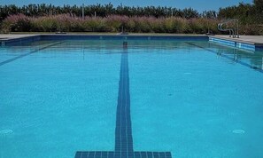 Ein klares, blaues Schwimmbecken mit einer Schwimmbahnmarkierung, umgeben von einer angelegten Grünfläche mit verschiedenen Pflanzen.