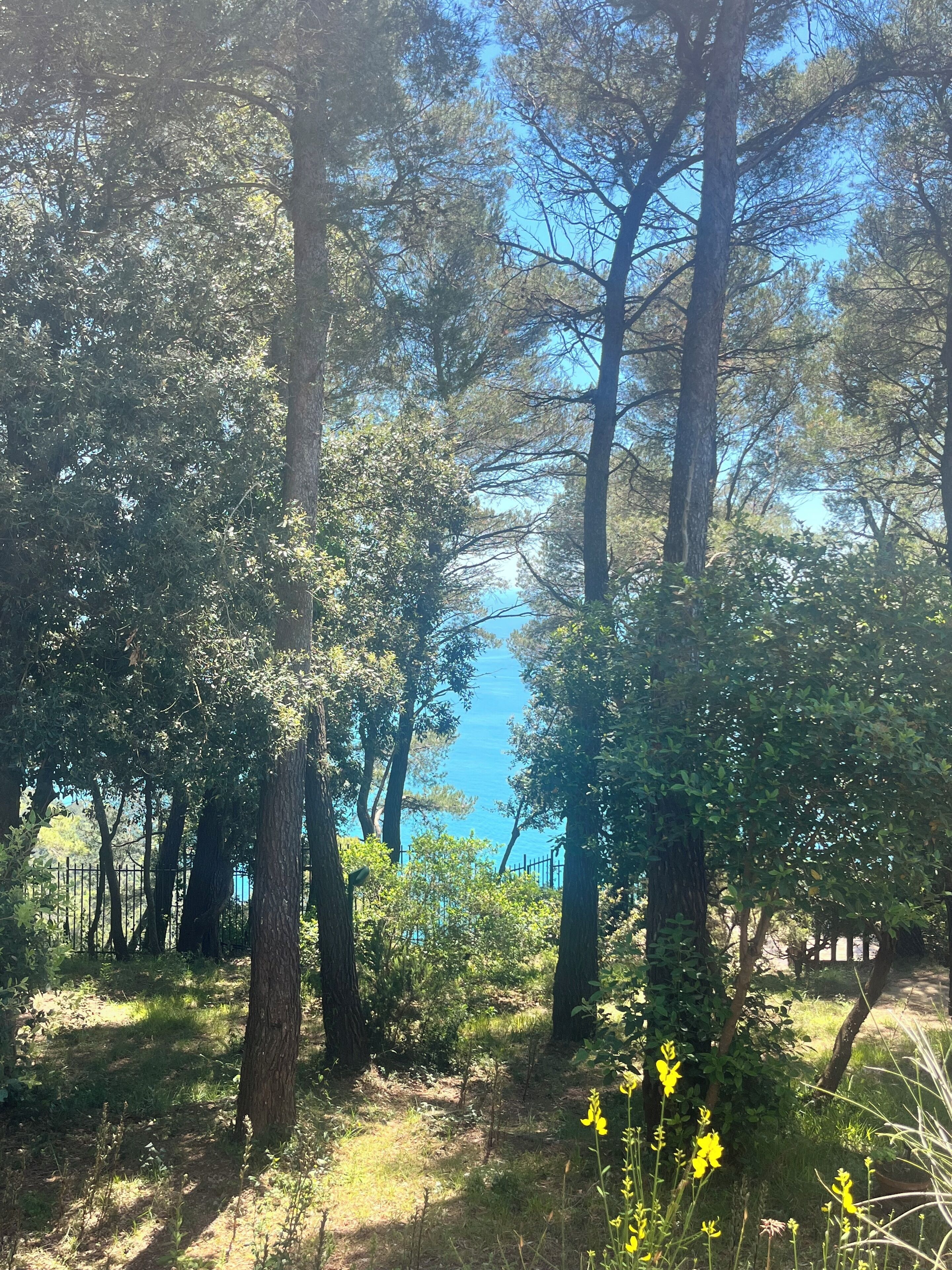 Quarto casal ou duplo básico, vista parcial para o mar | Vista do quarto