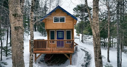 Family Bunkie | Sleeps 4 | Forest Views + Loft