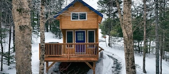 Family Bunkie | Sleeps 4 | Forest Views + Loft