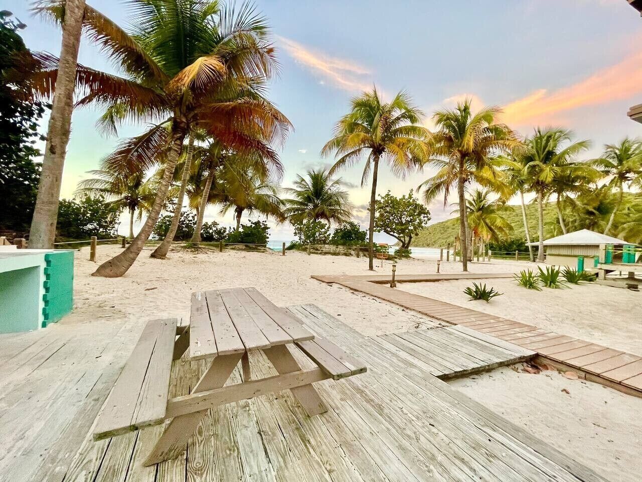 Une terrasse en bois avec des tables de pique-nique, des palmiers et une plage en arrière-plan.