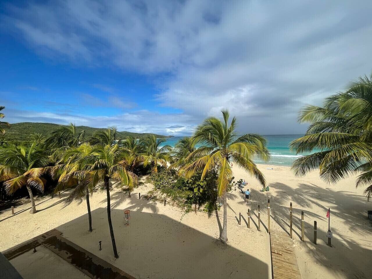 A beach with palm trees, a sandy shore, and a view of the ocean.
