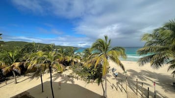 A beach with palm trees, a sandy shore, and a view of the ocean.