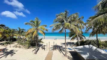 A beach with palm trees, a wooden pathway, and a view of the ocean.