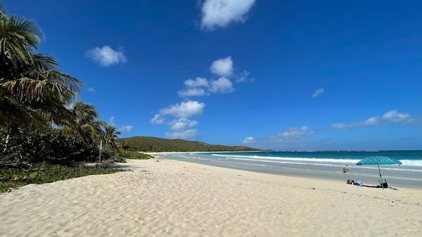 A beach with sand, palm trees, and a clear sky. - Apto 2A Flamenco Beachfront Villas with Ocean View (Flamenco)