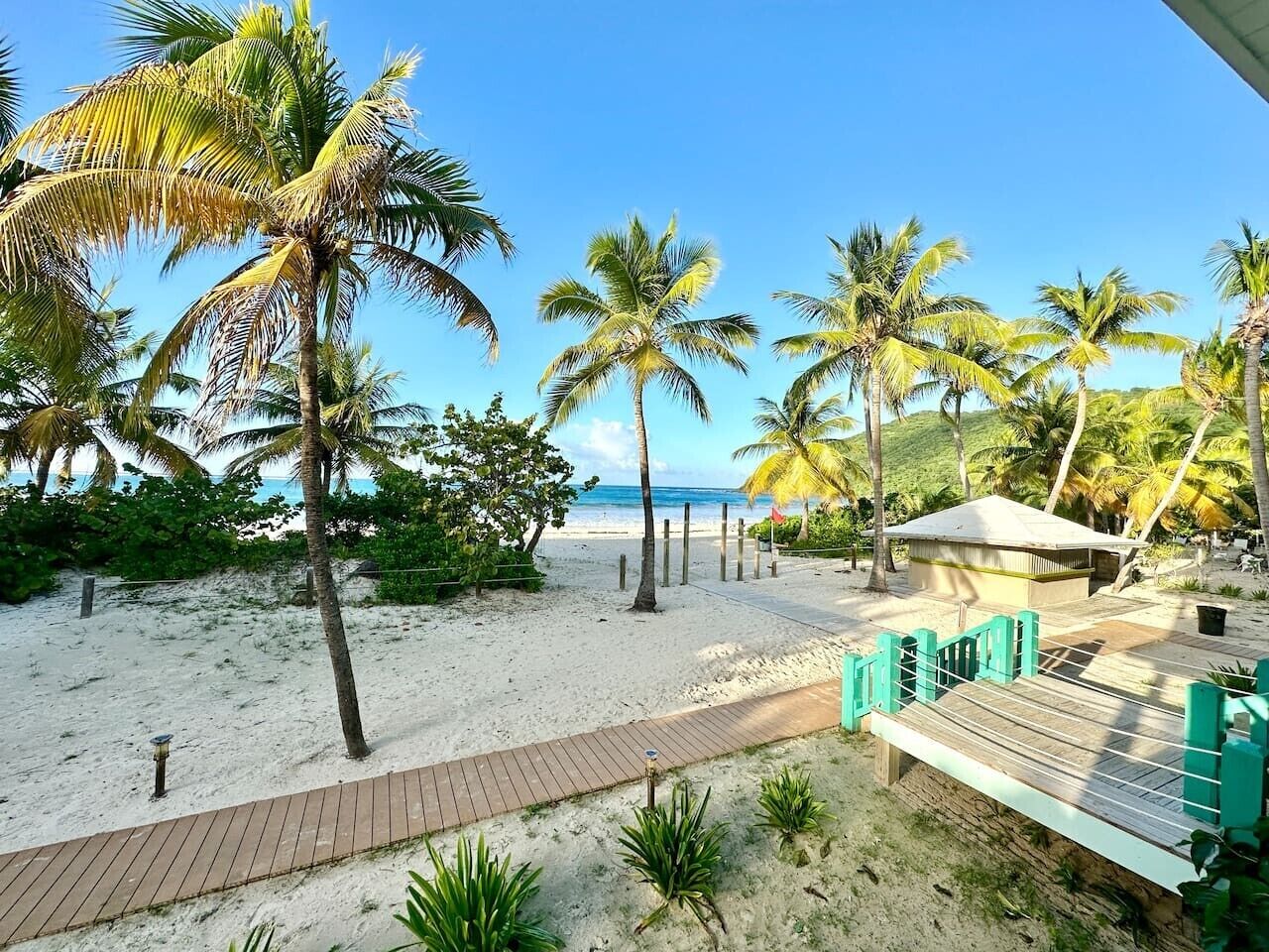 A beach view with palm trees, a wooden walkway, and a small building.