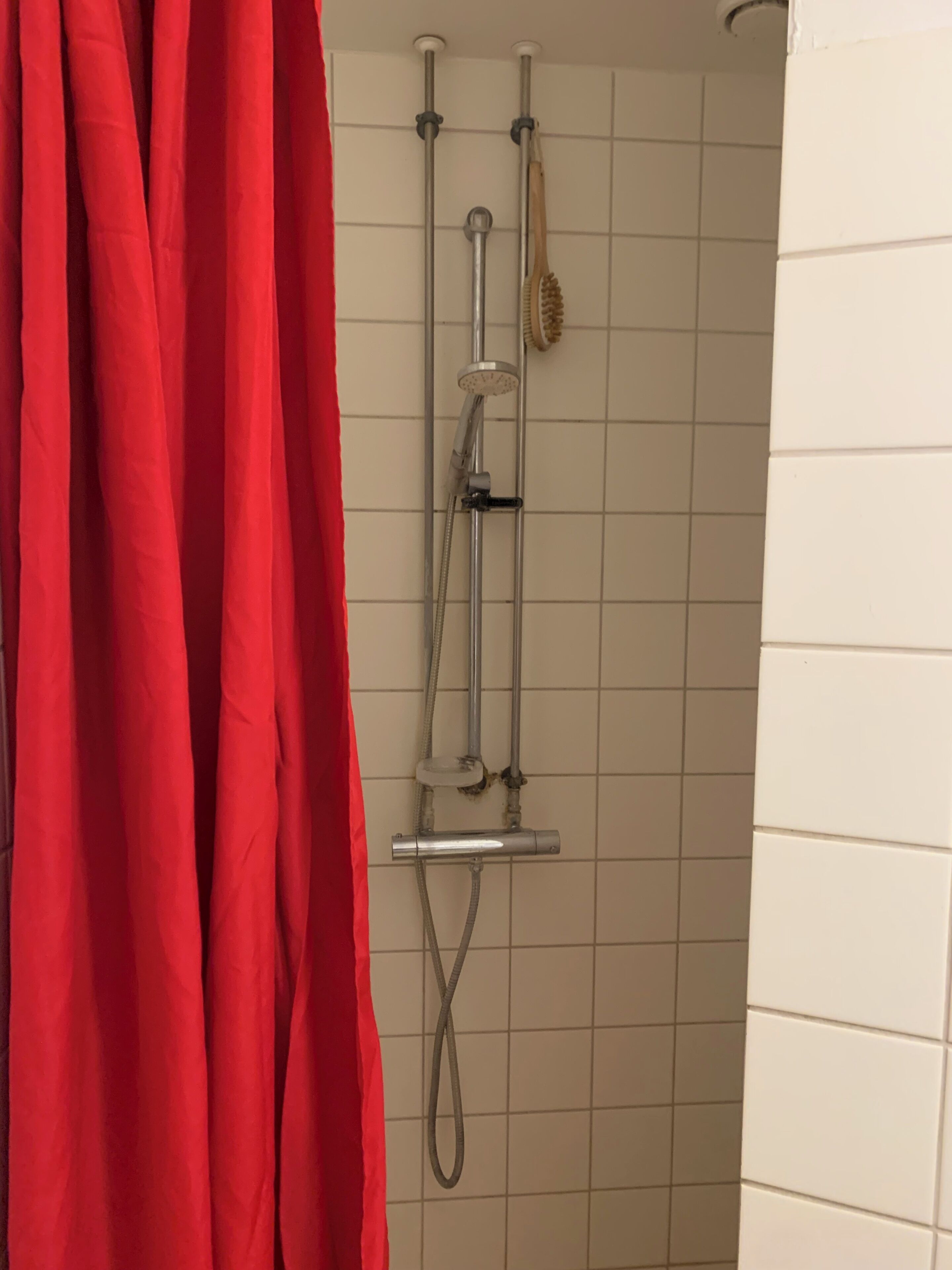 Shower, towels, toilet paper