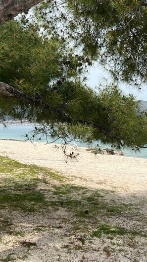Ein Strand mit einem Baum im Vordergrund und freiem Blick auf das Meer.