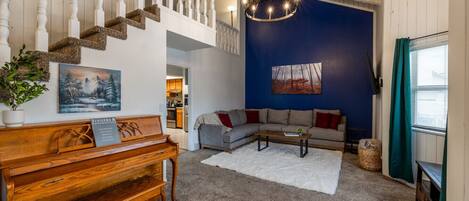 TV, fireplace, books