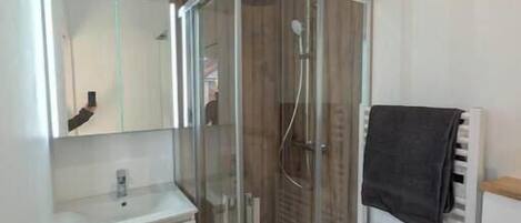 Shower, towels, toilet paper