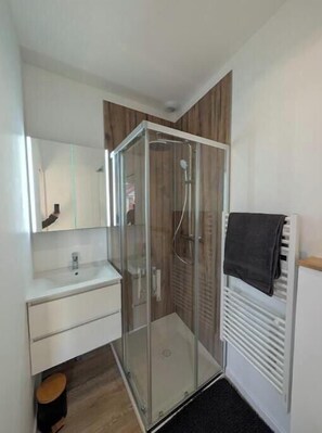 Shower, towels, toilet paper