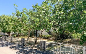 A paved pathway with a metal fence, stone pillars, and lush green trees.