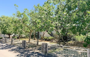 A paved pathway with a metal fence, stone pillars, and lush green trees. - Beautiful apartment in Krk with WiFi (Krk)