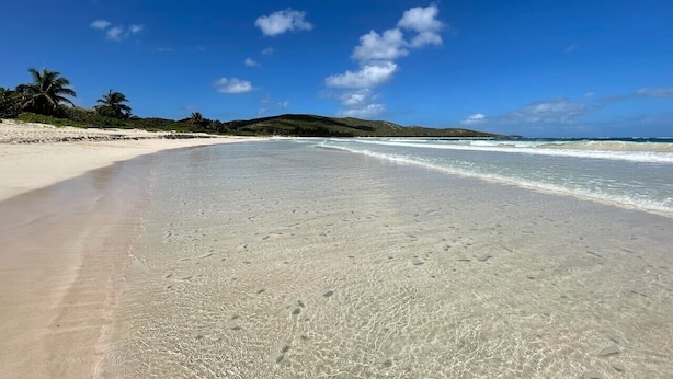 Ein Strand mit klarem Wasser, sandigem Ufer und Palmen.