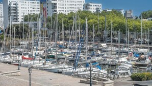 Uma marina com vários barcos atracados, cercada por edifícios e árvores.
