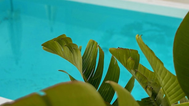 Un área junto a la piscina con sillones y sombrillas.