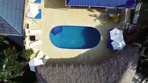 Vista aérea de una piscina con sillas de descanso y sombrillas, rodeada de vegetación.