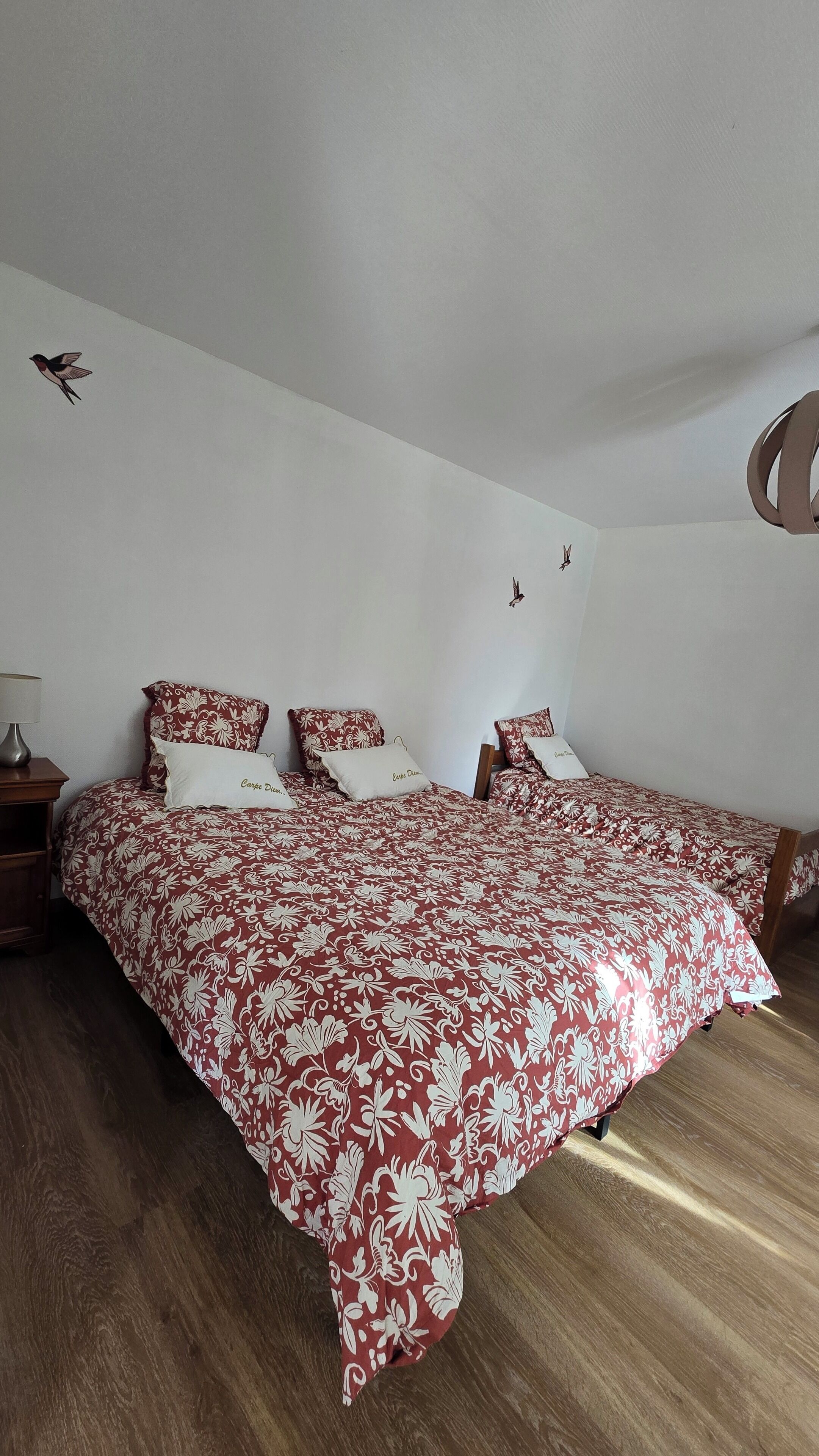 1 camera, Wi-Fi, lenzuola