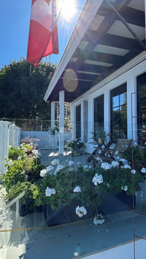 A modern house with a covered patio, large windows, and a garden with white flowers.