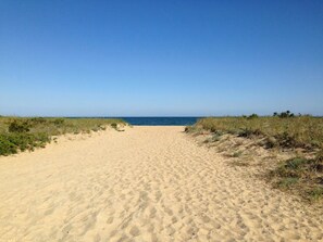 Beach nearby - Popponesset-Exclusive Waterfront Home, Firepit, Hot Tub, & central A/C (Mashpee)
