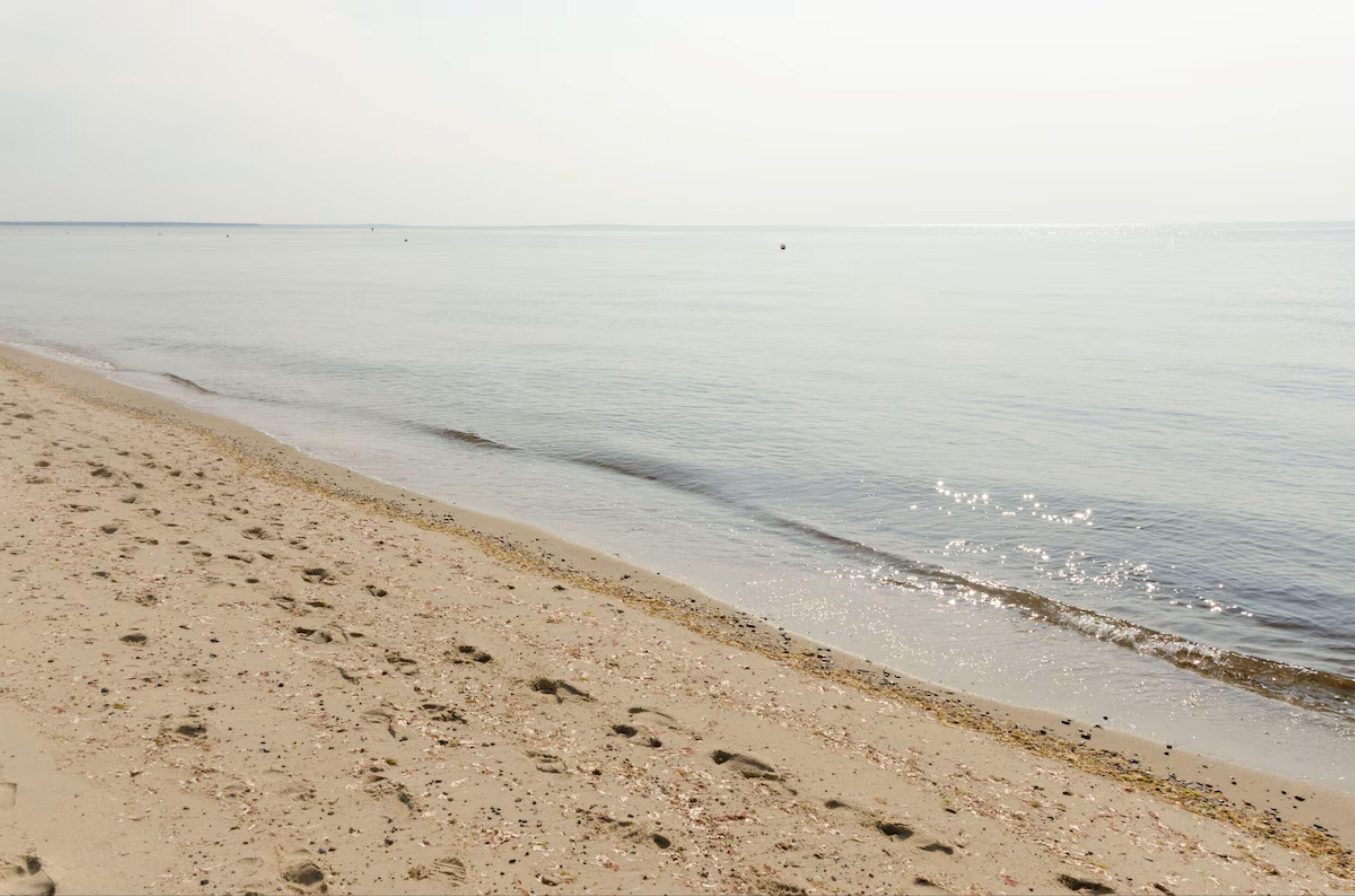 Une plage où l’on voit des empreintes de pas menant à l’eau, un ciel dégagé et une mer calme.
