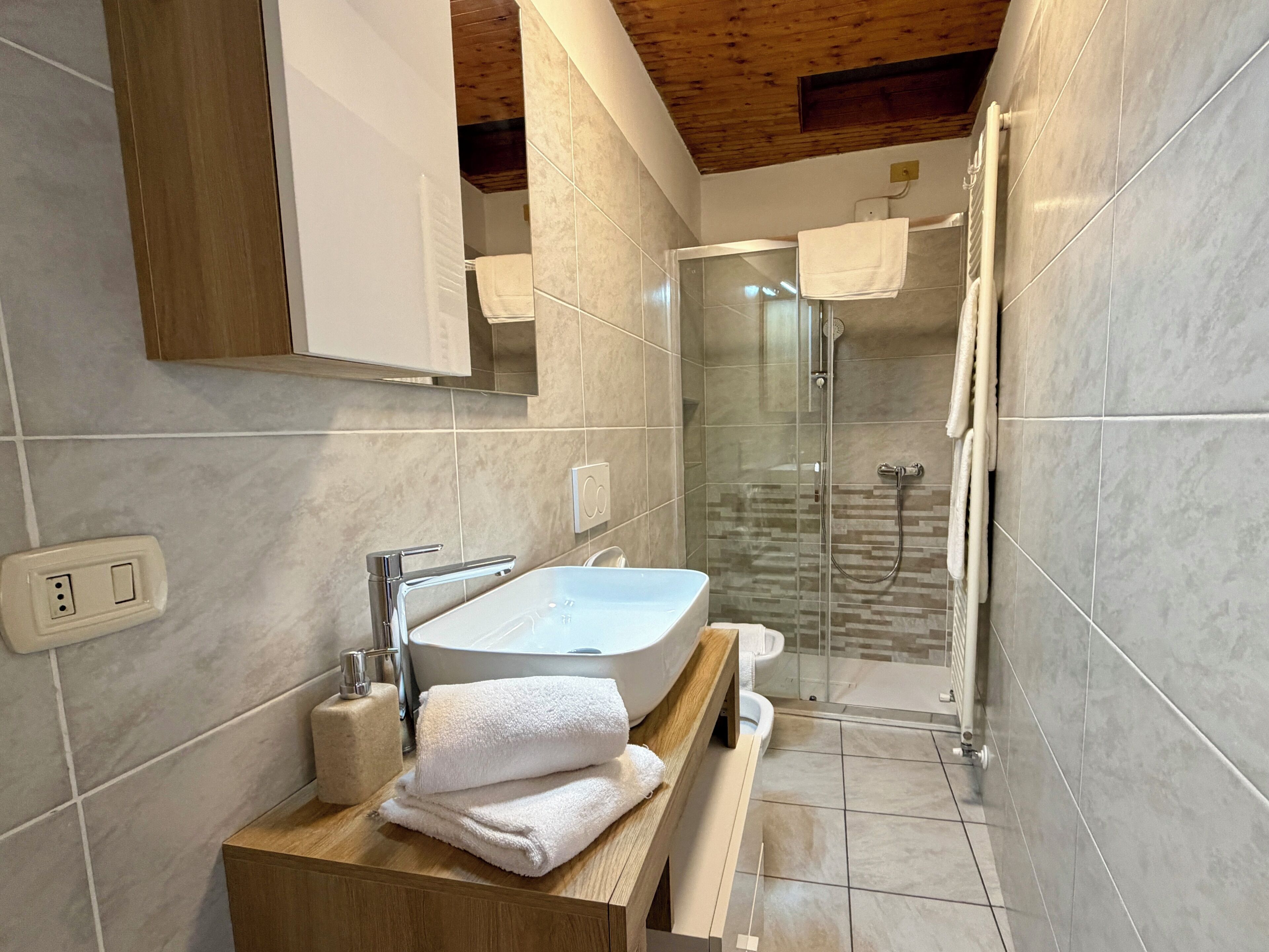 Shower, hair dryer, bidet, towels