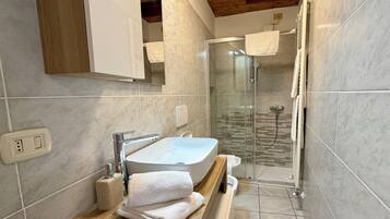 Shower, hair dryer, bidet, towels