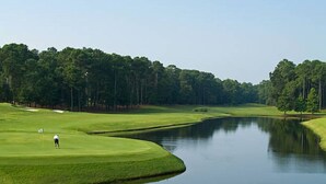 Un campo de golf con un estanque, árboles y una persona jugando.