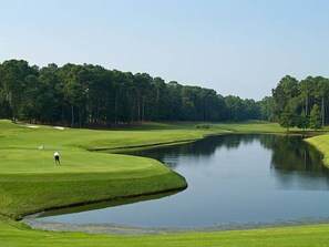 Ein Golfplatz mit Teich, Bäumen und einer spielenden Person.