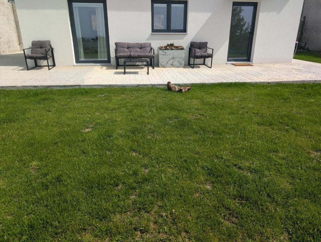 Un bâtiment moderne doté d’un patio aménagé avec des espaces de détente en plein air et un foyer.