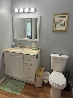 Bathroom - Lovely 1-bedroom studio in Charlevoix perfect for your getaway (Charlevoix)