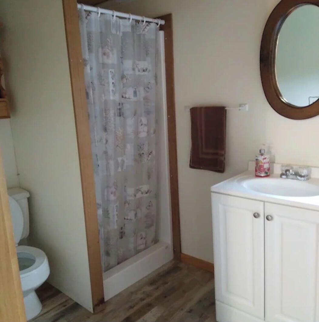 Un baño con inodoro, cortina de ducha, lavamanos y espejo.