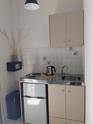 A compact kitchen with a built-in stove, a sink, and a refrigerator. - Grape Vine (Zakynthos)