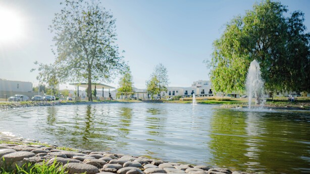 Ein stiller Teich mit einer Fontäne, umgeben von einer Steinumrandung und üppigem Grün.