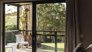 An open sliding door leading to a deck with a white chair and table, overlooking a tree and a grassy area. - Your Noosa Hinterland Hideaway (Doonan)