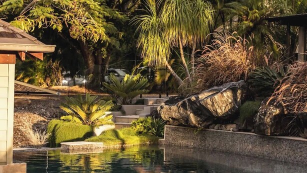 A swimming pool surrounded by lush greenery and a stone wall. - Your Noosa Hinterland Hideaway (Doonan)
