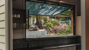 A kitchen with a large window, a tiled backsplash, and a countertop with kitchen utensils. - Your Noosa Hinterland Hideaway (Doonan)