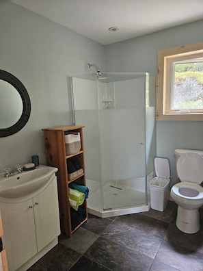 Shower, hair dryer, towels, soap