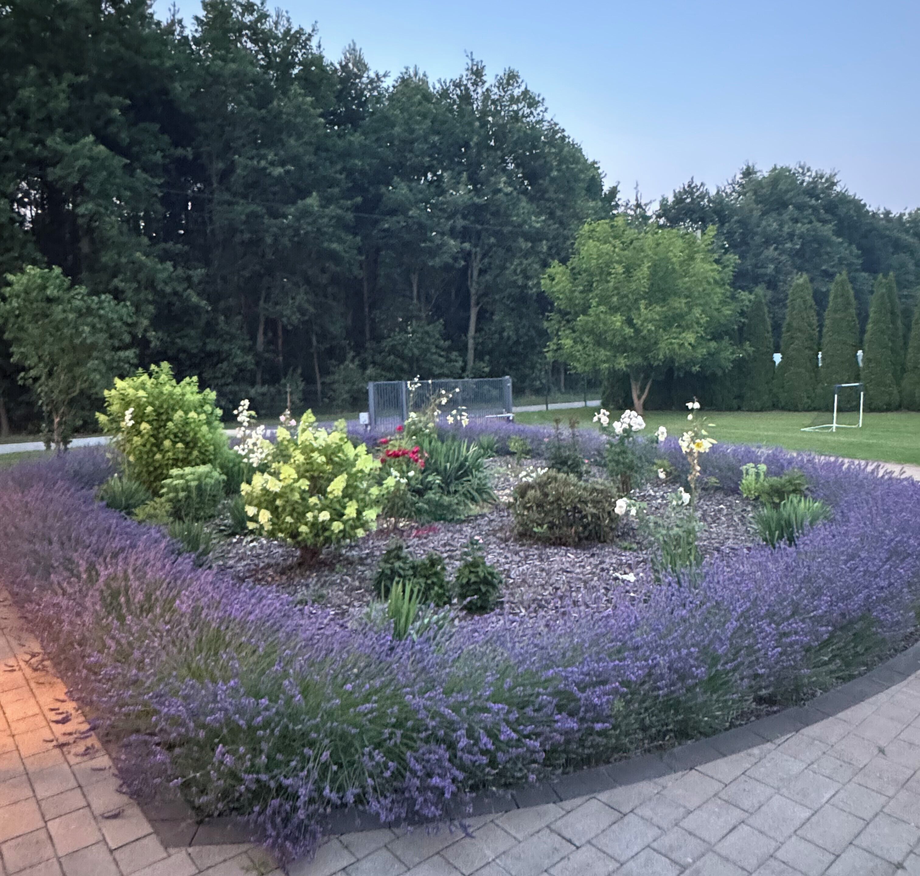 Un jardin aménagé avec différentes espèces de plantes et un terrain de sport.