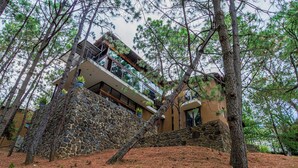A two-story building with a stone facade, surrounded by pine trees.