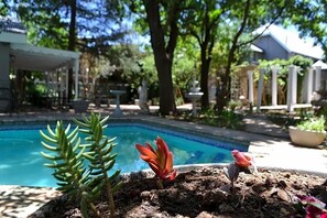 A pool area with a small garden, a bird, and a building in the background. - Hobbit Boutique Hotel (Bloemfontein)