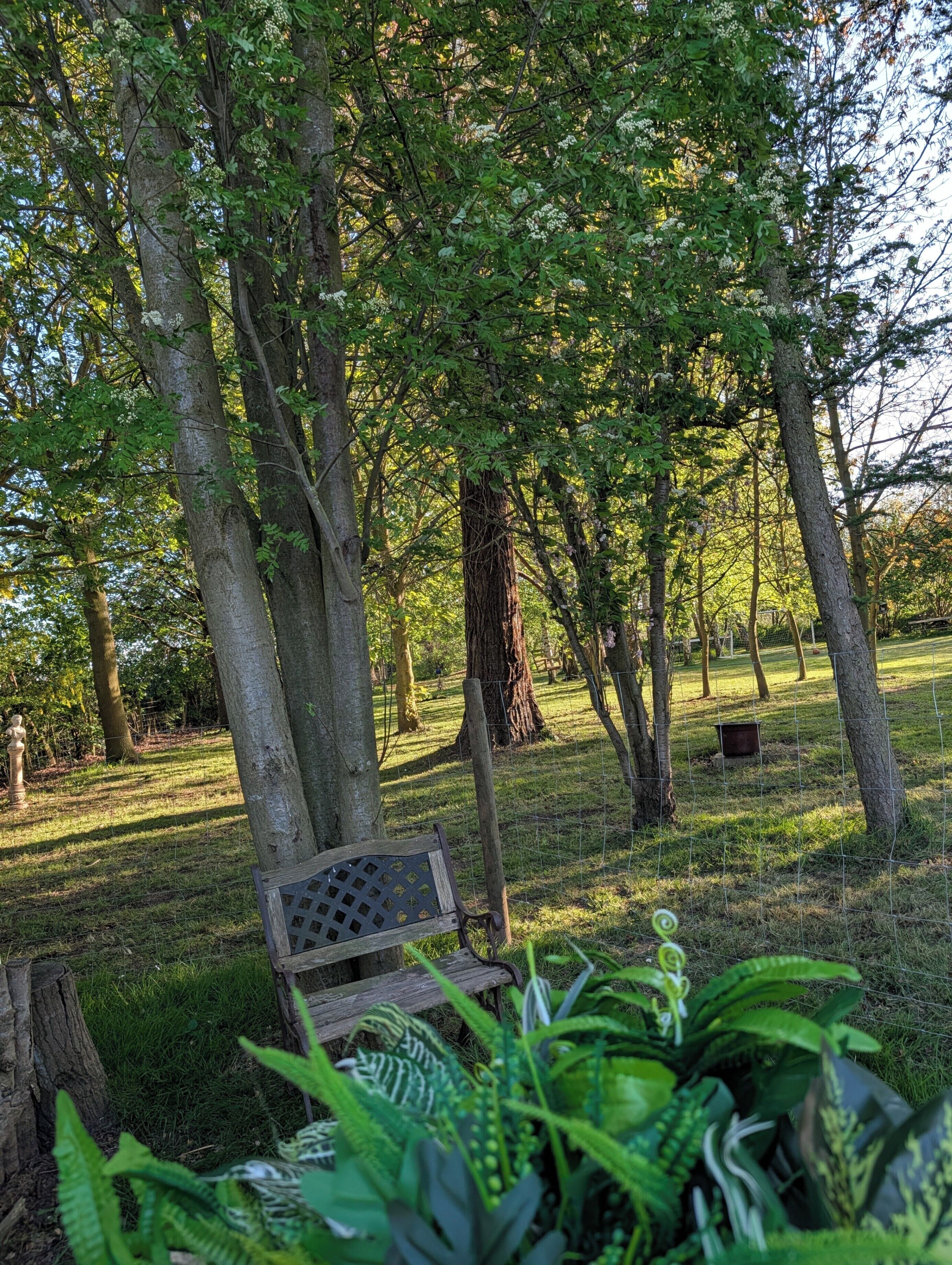 Property grounds