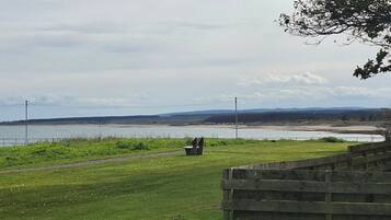 A grassy area with a bench and a wooden fence.