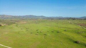 An aerial view of a green landscape with fields, a winding path, and distant mountains.