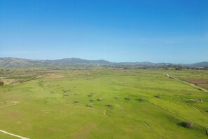 Luftaufnahme einer grünen Landschaft mit Feldern, einem gewundenen Pfad und entfernten Bergen.