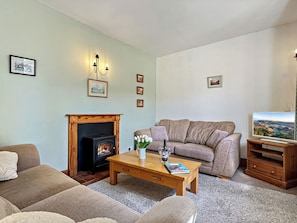 TV - Vine Cottage, Porlock (Porlock)