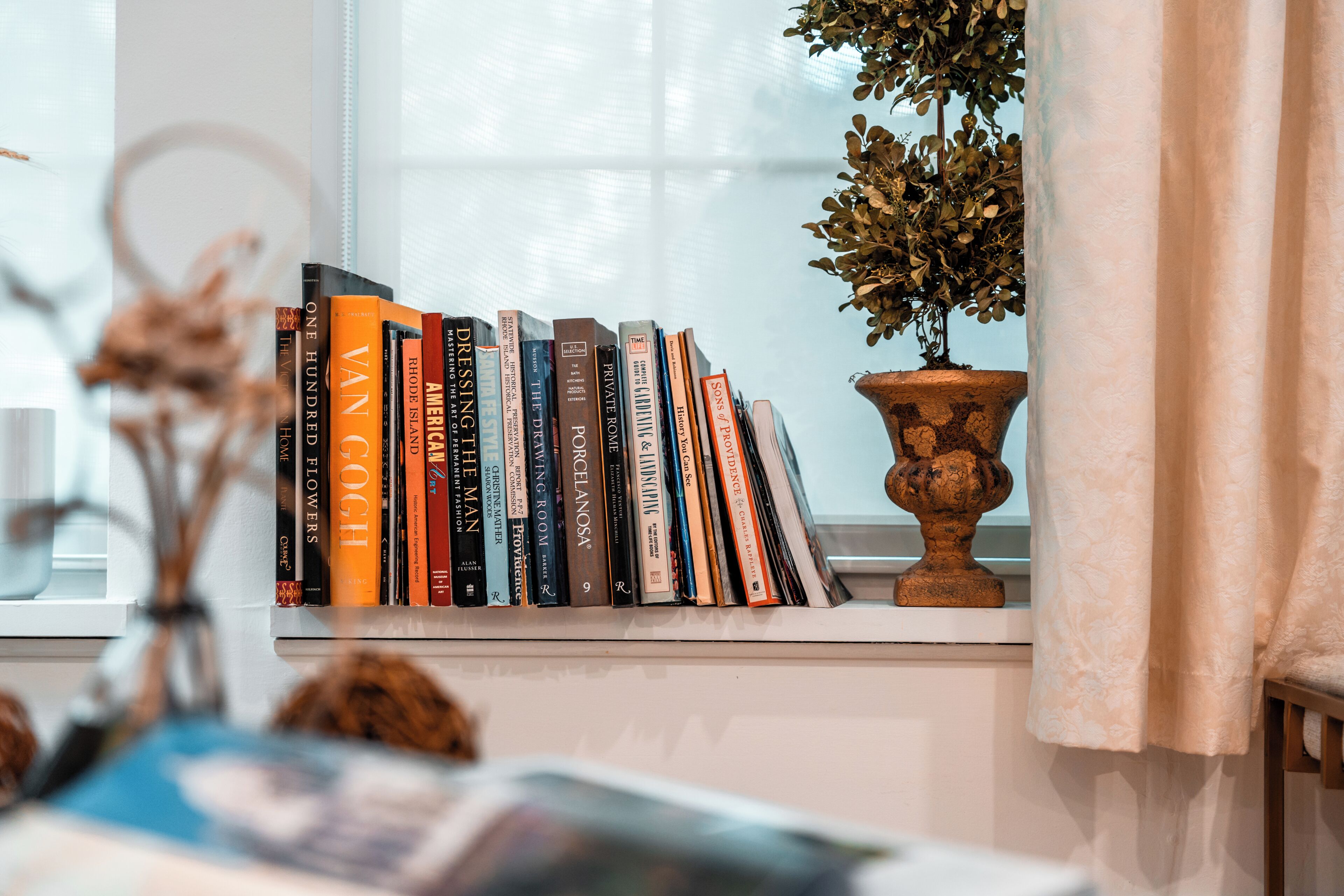 A bookshelf with a variety of books, a potted plant, and a window with curtains.